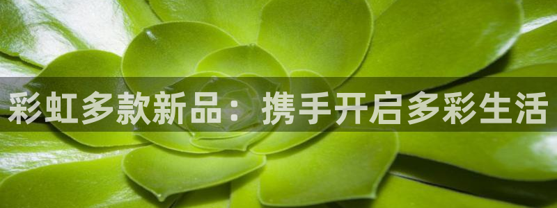 彩虹多款新品：携手开启多彩生活