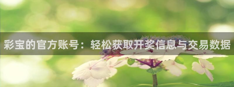好彩运邀