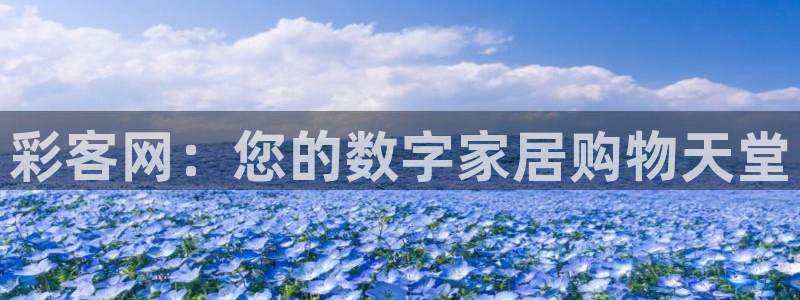 好彩运官网：彩客网：您的数字家居购物天堂