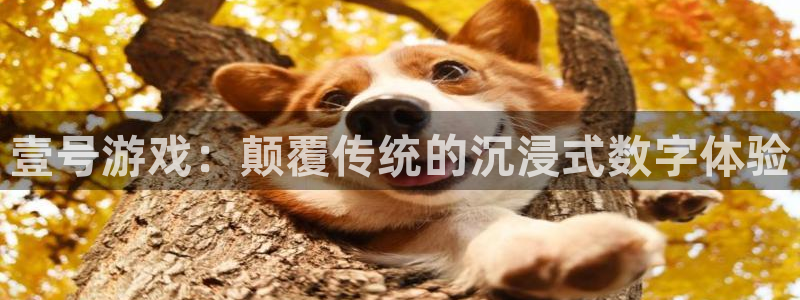 好彩运吧：壹号游戏：颠覆传统的沉浸式数字体验