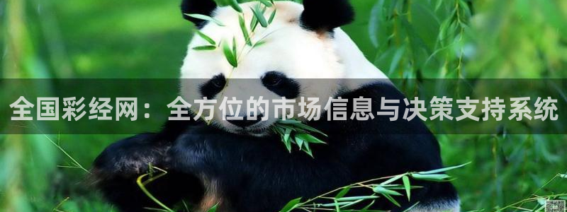 好彩运邀：全国彩经网：全方位的市场信息与决策支持系统